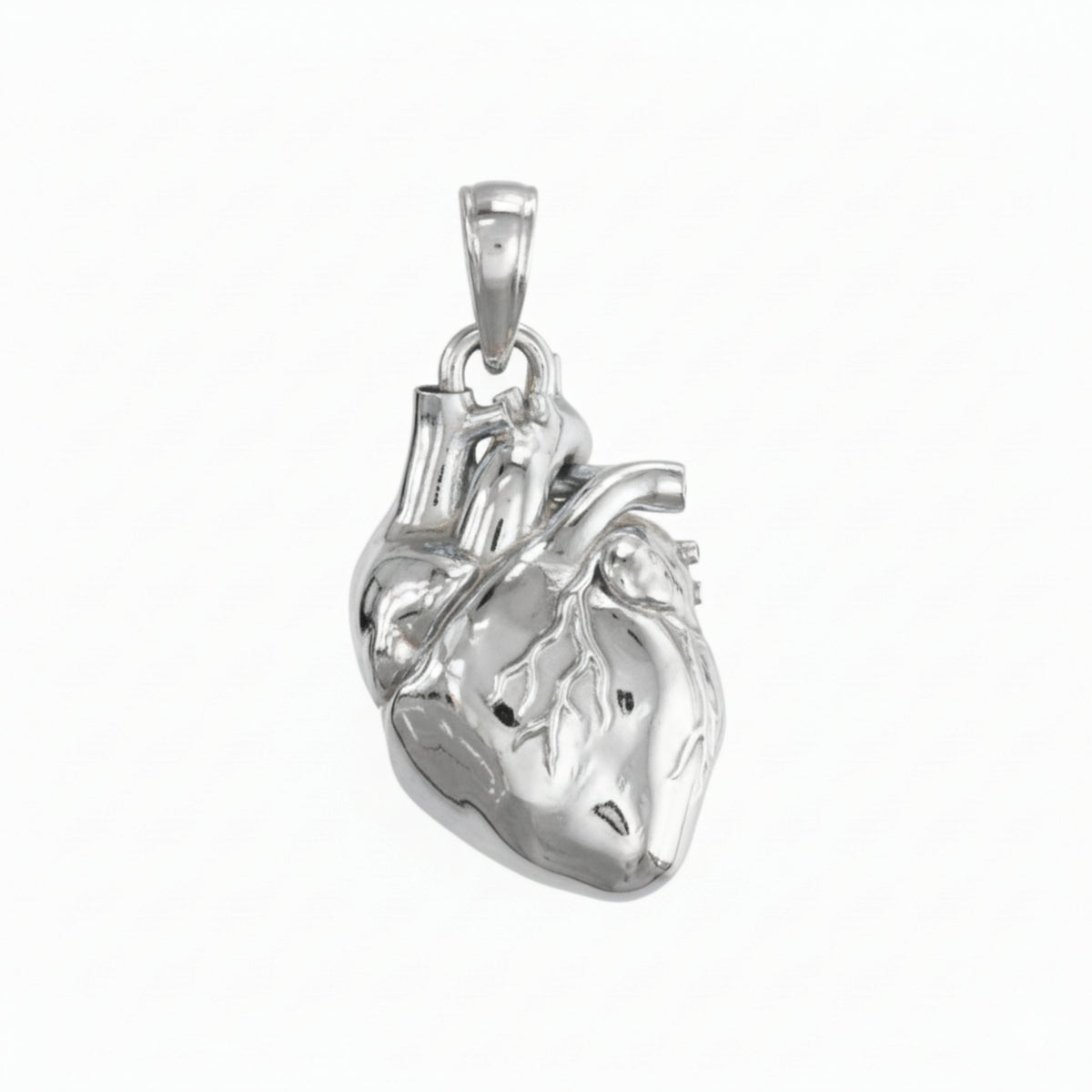 Anatomical Heart Pendant