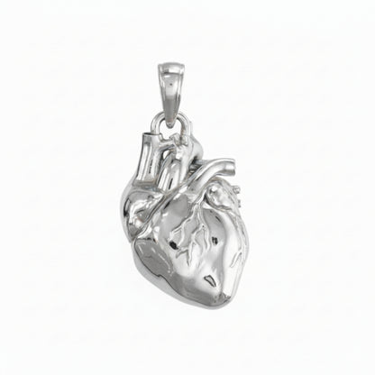 Anatomical Heart Pendant