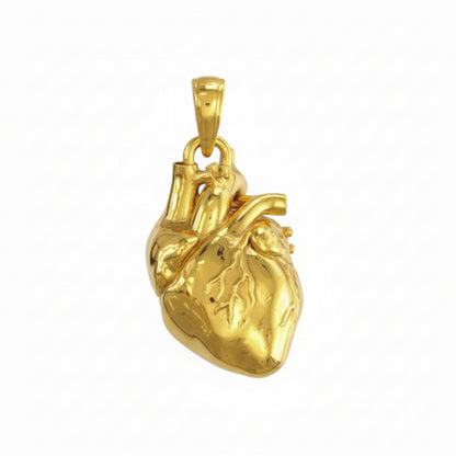 Anatomical Heart Pendant