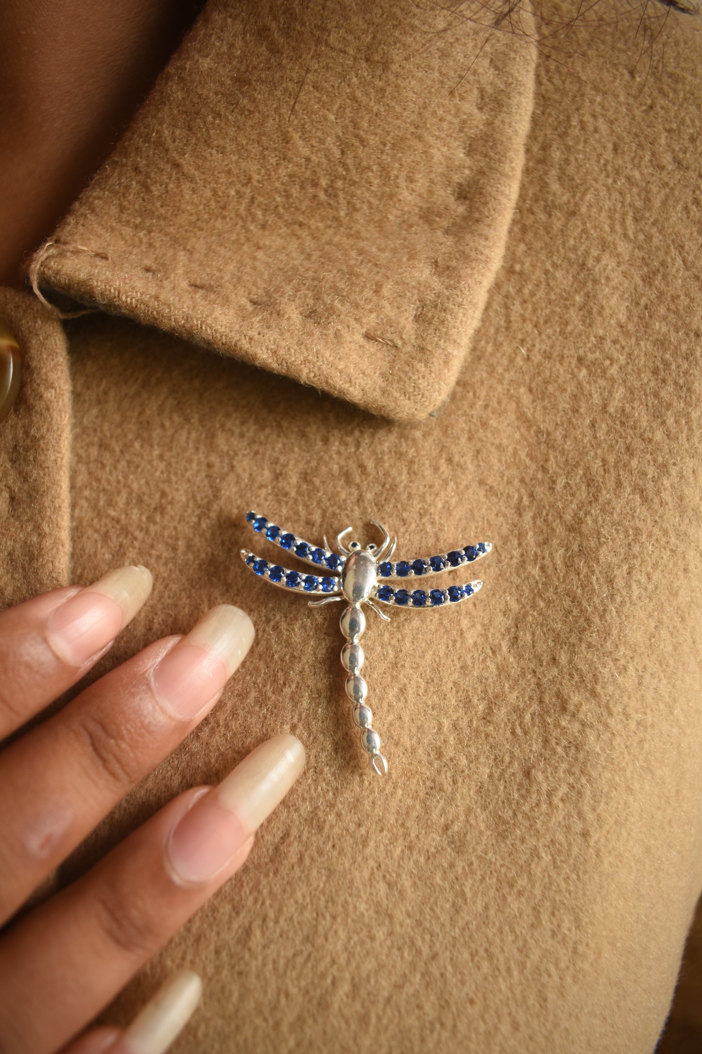 The Dragonfly Brooch